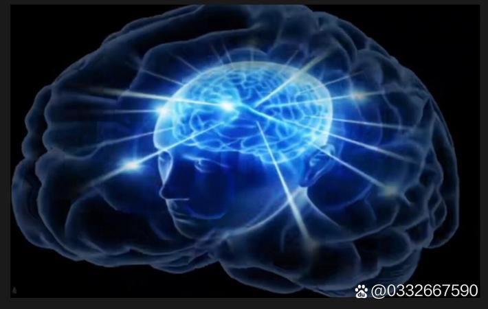每日大赛吃瓜 - 甜蜜暴击!某明星夫妻宣布迎来二胎,晒全家福温馨感人,粉丝疯狂送祝福 甜蜜暴击!某明星夫妻宣布迎来二胎,晒全家福温馨感人,粉丝疯狂送祝福